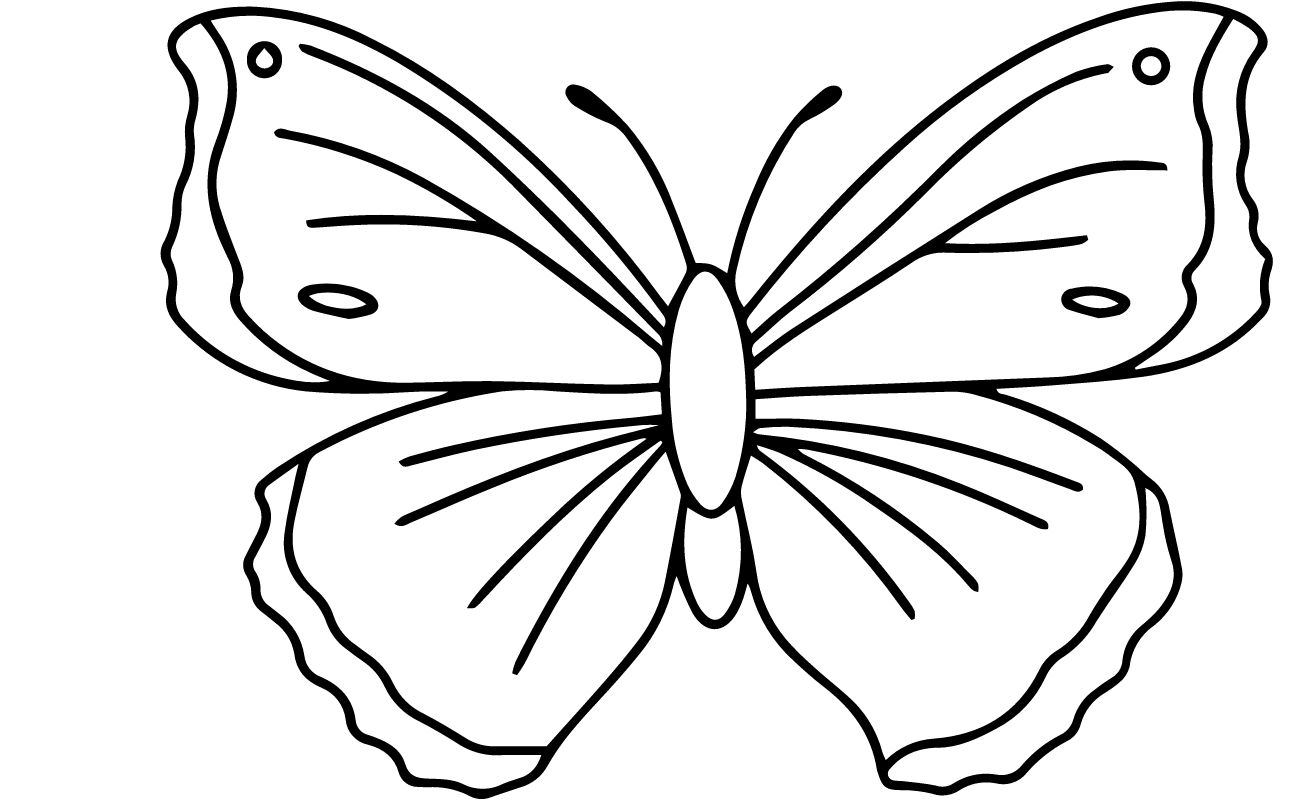 Butterfly Coloring Pages