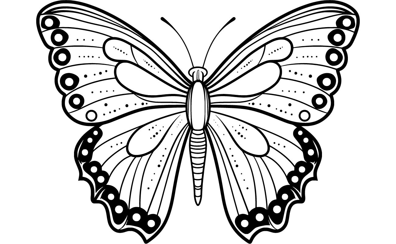 Butterfly Coloring Pages