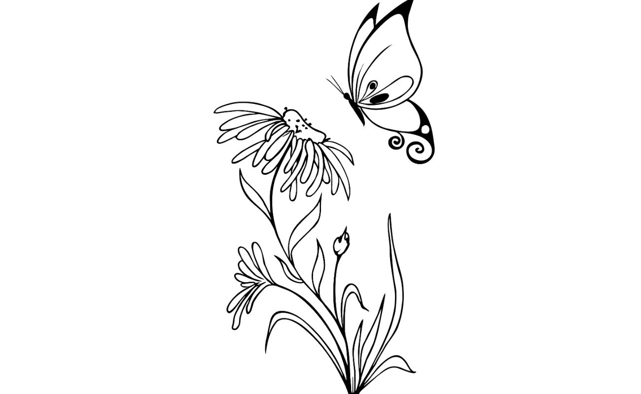 Butterfly Coloring Pages