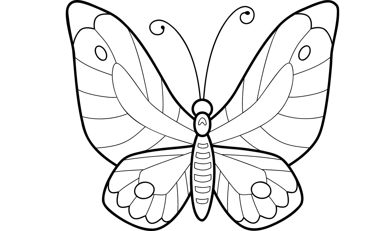 Butterfly Coloring Pages